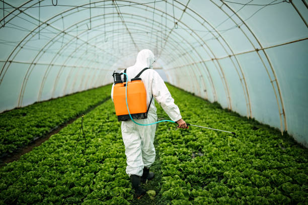 Best Pest Control Treatment  in Buena Park, CA