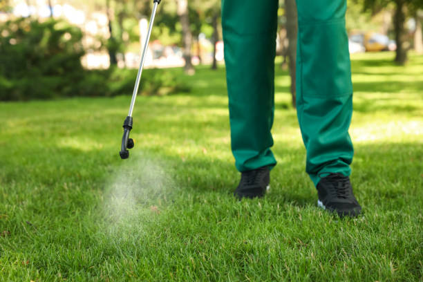 Buena Park, CA Pest Control Company