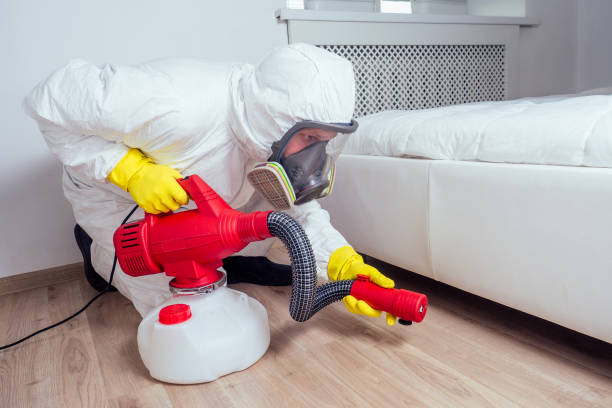 Best Pest Inspection Near Me  in Buena Park, CA