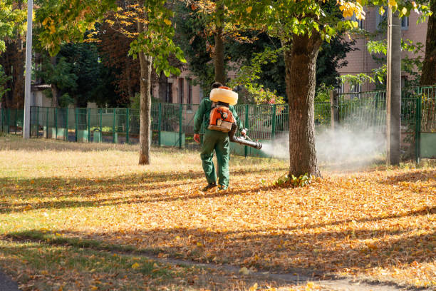 Best Commercial Pest Control Services  in Buena Park, CA